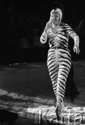 26.05.1983, Warszawa, Polska.
Piosenkarka Zdzisława Sośnicka w kostiumie zebry podczas występu w cyrku 