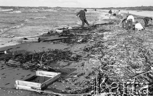 Lipiec 1988, Krynica Morska, Polska
Zanieczyszczona plaża w okolicach Krynicy.
Fot. Jarosław Tarań, zbiory Ośrodka KARTA [88-53] 
