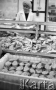 Kwiecień 1988, Świnoujście, Polska
Pracownica zakładów przetwórstwa rybnego przy taśmie produkcyjnej, na pierwszym planie ryby w konserwach przygotowanych do zamykania.
Fot. Jarosław Tarań, zbiory Ośrodka KARTA [88-74] 
