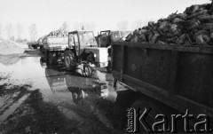 Październik 1989, Guzów, Polska
Cukrownia, transport buraków cukrowych.
Fot. Jarosław Tarań, zbiory Ośrodka KARTA [89-90] 
