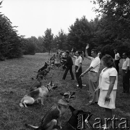 Wrzesień 1968, Warszawa, Polska.
Tresura psów na Polu Mokotowskim - właściciele wydają swoim zwierzętom komendę 