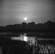 Wrzesień 1968, Polska
Nastrojowy zachód słońca, mokradła na pierwszym planie, w oddali - drzewa i ptaki.
Fot. Jarosław Tarań, zbiory Ośrodka KARTA