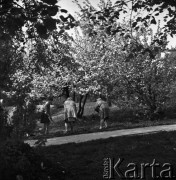 25.04.1968, Warszawa, Polska.
Kobiety grabiące liście w sadzie. Widoczne są również kwitnące drzewa.
Fot. Jarosław Tarań, zbiory Ośrodka KARTA
