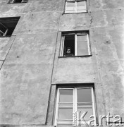 Wrzesień 1968, Warszawa, Polska.
Kobieta wygląda przez okno kamienicy.
Fot. Jarosław Tarań, zbiory Ośrodka KARTA
