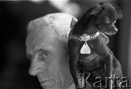 Czerwiec 1963, Warszawa, Polska.
Wystawa psów rasowych.
Fot. Jarosław Tarań, zbiory Ośrodka KARTA [63-42]


