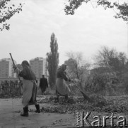 Październik 1963, Warszawa, Polska.
Kobiety ze służb miejskich zamiatają opadłe liście.
Fot. Jarosław Tarań, zbiory Ośrodka KARTA [63-137]

