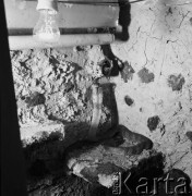 Grudzień 1968, Warszawa, Polska.
Kobra dr Ryszarda Bielawskiego w terrarium.
Fot. Jarosław Tarań, zbiory Ośrodka KARTA