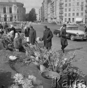 Wrzesień 1964, Warszawa, Polska.
Bazar kwiatowy na ul. Polnej.
Fot. Jarosław Tarań, zbiory Ośrodka KARTA [64-31]

