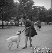 1964, Warszawa, Polska.
Kobieta z psem na smyczy.
Fot. Jarosław Tarań, zbiory Ośrodka KARTA [64-96]


