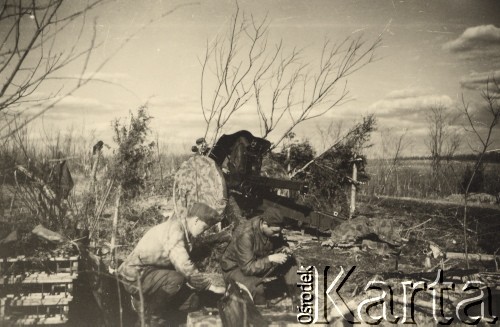 1941-1942, ZSRR.
Artylerzyści obok zamaskowanego działa.
Fot. NN, zbiory Ośrodka KARTA, zdjęcia z kolekcji Herberta Joosta udostępnił Krzysztof Kuczyński.

