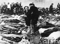 1941, Lwów, Ukraińska SRR, ZSRR.
Dziedziniec jednego z więzień - trupy więźniów pomordowanych przez wycofujących się Rosjan.
Fot. NN, zbiory Ośrodka KARTA