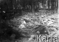 1939-1945, brak miejsca.
Widok lasu, na pierwszym planie i między drzewami ciała pomordowanych ludzi, ofiary egzekucji.
Fot. NN, zbiory Ośrodka KARTA, udostępniła Zofia Kwiecińska