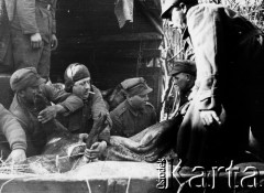 1945, miejsce nieznane, Polska.
Żołnierze ze służby zaopatrzenia podczas transportu ubitych świniaków.
Fot. Józef Rybicki, Stanisława Rybicka, zbiory Fundacji Ośrodka KARTA