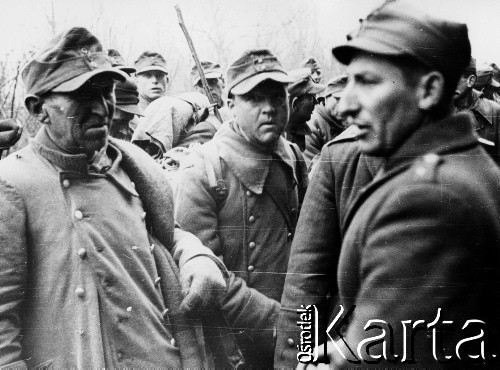 03.1945, Kołobrzeg, Polska.
Punkt zborny jeńców niemieckich, n/z polski oficer wśród jeńców niemieckich.
Fot. Józef Rybicki, zbiory Fundacji Ośrodka KARTA