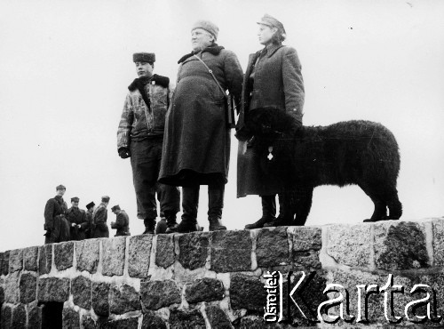 03.1945, Kołobrzeg, Polska.
Generał Bolesław Kieniewicz, dowódca 4 Dywizji Piechoty, na falochronie kołobrzeskiego portu w towarzystwie prawdopodobnie radzieckiego oficera i kobiety w polskim mundurze. Pies ma odznaczenie przypięte do obroży.
Fot. Józef Rybicki, zbiory Fundacji Ośrodka KARTA