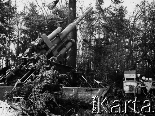 03.1945, Kołobrzeg, Polska.
Niemiecka armata na pobojowisku w lasku.
Fot. Józef Rybicki, zbiory Fundacji Ośrodka KARTA