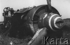 1945-1946, Niemcy.
 Wrak niemieckiego myśliwca Focke-Wulf Fw 190.
Fot. NN, zbiory Ośrodka KARTA, kolekcję Sylwestra Patoki udostępnił Piotr Trąbiński
   
