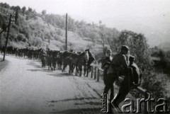 1939, Ruś Zakarpacka, Dolina Cisy, Polska.
9 Pułk Ułanów Małopolskich. Wycofanie ośrodka zapasowego pułku na Węgry.
Fot. zbiory Ośrodka KARTA, Pogotowie Archiwalne [PA_016], przekazała Urszula Drobniak