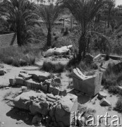 1971, prawdopodobnie Memfis, Egipt.
Starożytne posągi egipskie.
Fot. Bogdan Łopieński, zbiory Ośrodka KARTA