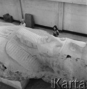 1971, Memfis, Egipt.
Pomnik faraona Ramzesa II w Muzeum w Memfis. Po lewej stronie stoi Barbara N. Łopieńska.
Fot. Bogdan Łopieński, zbiory Ośrodka KARTA