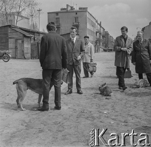 1965, Warszawa, Polska.
Mężczyźni ze zwierzętami na targu.
Fot. Bogdan Łopieński, zbiory Ośrodka KARTA