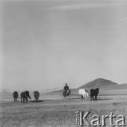 1969, Mongolia.
Pustynia Gobi.
Fot. Bogdan Łopieński, zbiory Ośrodka KARTA