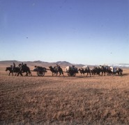 1969, Mongolia.
Karawana na pustyni Gobi.
Fot. Bogdan Łopieński, zbiory Ośrodka KARTA