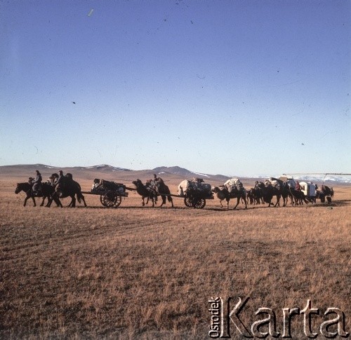 1969, Mongolia.
Karawana na pustyni Gobi.
Fot. Bogdan Łopieński, zbiory Ośrodka KARTA