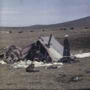 1969, Mongolia.
Step.
Fot. Bogdan Łopieński, zbiory Ośrodka KARTA