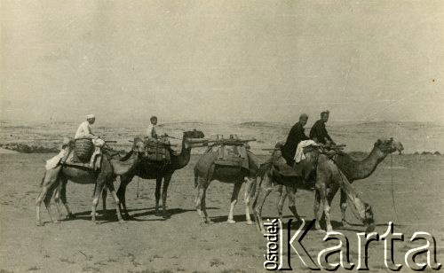 1944, Palestyna.
Żołnierze 2 Korpusu Polskiego. Beduińscy pasterze na pustyni.
Fot. NN, zbiory Ośrodka KARTA, Pogotowie Archiwalne [PA_033], przekazał Piotr Balcer

