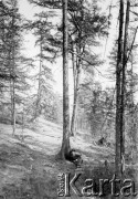 1904-1905, Jakuck, Cesarstwo Rosyjskie.
Mężczyzna leżący pod drzewem.
Fot. NN, kolekcja Zygmunta Lewańskiego, udostępnił Julian Lewański

