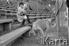 1990, Warszawa, Polska.
Wyścigi psów na stadionie Hutnika, Bielany.
Fot. Artur Polit, zbiory Fundacji Ośrodka KARTA