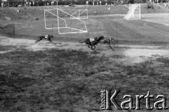 1990, Warszawa, Polska.
Wyścigi psów na stadionie Hutnika, Bielany.
Fot. Artur Polit, zbiory Fundacji Ośrodka KARTA