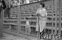 1990, Warszawa, Polska.
Wyścigi psów na stadionie Hutnika, Bielany.
Fot. Artur Polit, zbiory Fundacji Ośrodka KARTA