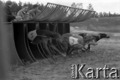 1990, Warszawa, Polska.
Wyścigi psów na stadionie Hutnika, Bielany.
Fot. Artur Polit, zbiory Fundacji Ośrodka KARTA