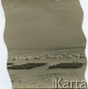 1941, okolice Aleksandrii, Egipt.
Żołnierze Samodzielnej Brygady Strzelców Karpackich, w oddali namioty obozu wojskowego. [Odbitka składa się z trzech części].
Fot. NN, udostępnili Zofia i Julian Michalski, zbiory Ośrodka KARTA