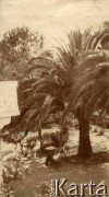 1925-1927, Juan-les-Pins, Francja.
Mężczyźni siedzący w ogrodzie. 1. z lewej redaktor Bogusławskij. 
Fot. NN, kolekcja Larysy Zajączkowskiej-Mitznerowej, zbiory Ośrodka KARTA