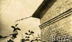 Lato 1939, Moszczenica, woj. łódzkie, Rzeczpospolita Polska.
Przymocowany do dachu patyk, na którym siedzą ptaki.
Fot. NN, kolekcja Larysy Zajączkowskiej-Mitznerowej, zbiory Ośrodka KARTA
