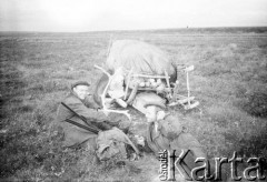 1955-1957, okolice Workuty, Komi ASRR, ZSRR.
Polscy zesłańcy podczas polowania.
Fot. NN, udostępnił Eugeniusz Cydzik w ramach projektu 