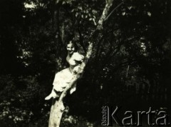 Przed 1939, brak miejsca.
Portret kobiety na drzewie.
Fot. NN, zbiory Archiwum Historii Mówionej Ośrodka KARTA i Domu Spotkań z Historią, udostępniła Felicja Błaszkiewicz w ramach projektu 