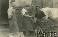 26.06.1957, Lubań Leśna, Polska.
Witold Maciesowicz (w środku), brat Zofii Maciesowicz (Mackiewicz), który wyemigrował do Polski.
Fot. NN, zbiory Archiwum Historii Mówionej Ośrodka KARTA i Domu Spotkań z Historią, udostępniła Zofia Mackiewicz w ramach projektu 