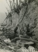 1944, okolice Monte Cassino, Włochy.
Porzucone pasy z amunicją w rejonie wzgórza 593.
Fot. NN, zbiory Ośrodka KARTA, udostępniła Magdalena Braun