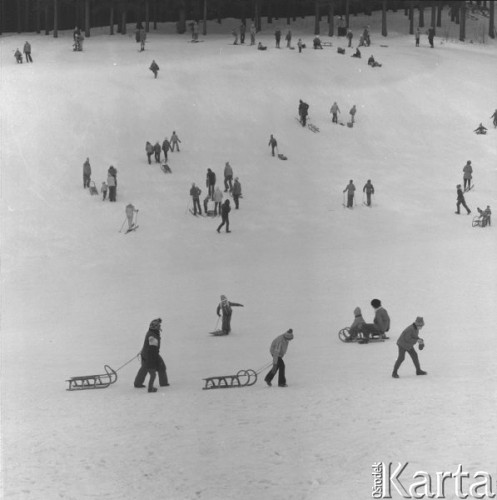 Luty 1978, Karpacz, Polska
Ferie zimowe, dzieci zjeżdżające z góry na sankach.
Fot. Romuald Broniarek/KARTA