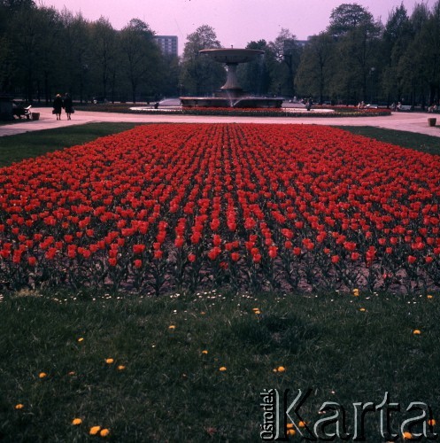 1974, Warszawa, Polska.
Fontanna Wielka w Ogrodzie Saskim.
Fot. Romuald Broniarek, zbiory Ośrodka KARTA