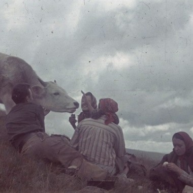 Fotografia z kolekcji Tadeusza Gaydamowicza